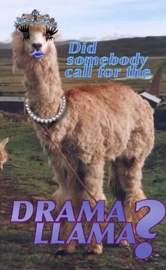 DISSENTION IN THE RANKS ON CANDYFLOSS'S ANTI-FORUM?  BENNETT RATCHETING UP THE ANTE? Drama-llama-02